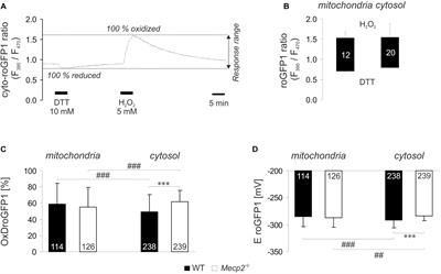 Neuronal Redox-Imbalance in Rett Syndrome Affects Mitochondria as Well as Cytosol, and Is Accompanied by Intensified Mitochondrial O2 Consumption and ROS Release